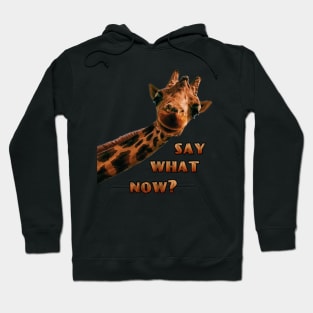 say what now giraffe funny meme Hoodie